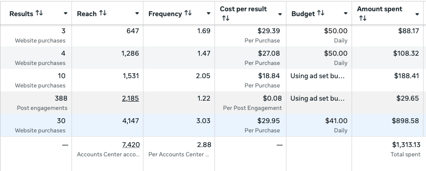 Anonymous Meta Ads Manager snapshot: 10 website purchases at $18.84 per purchase